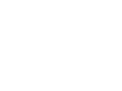 Stella Elite Logo